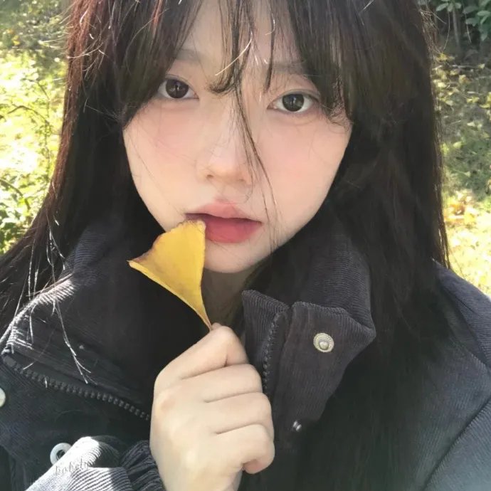 丛林饭
